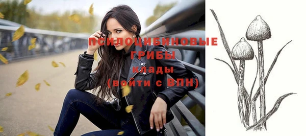 прущая мука Михайлов