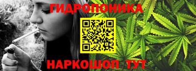 шишки Гатчина