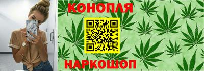 шишки Гатчина